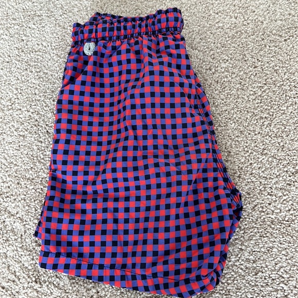 Like New! Bluemint Swim Trunks - Picture 4 of 5